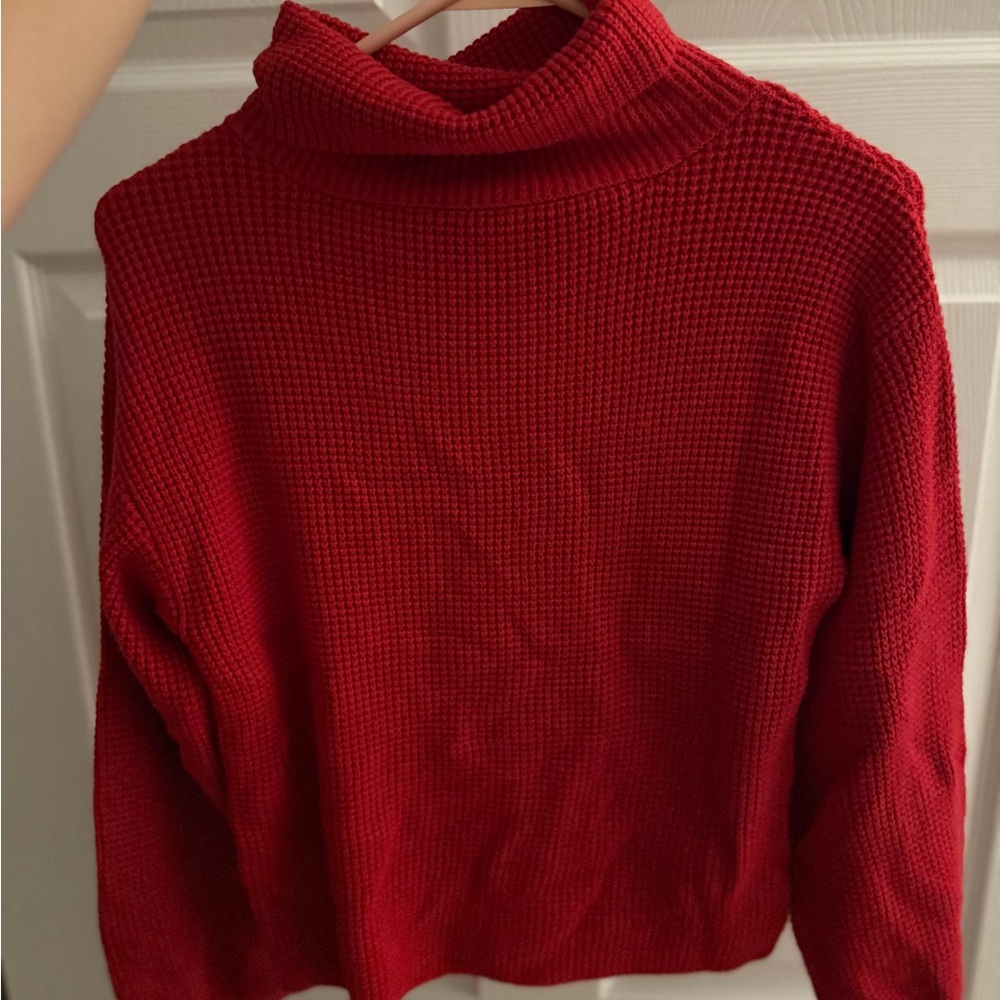 Francesca's Collections Cranberry Cowl Neck Sweater